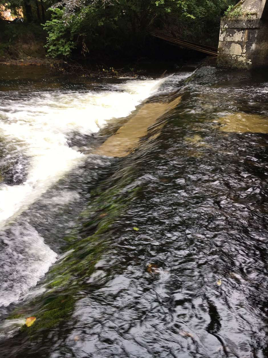 Water rushes over a weir in the river